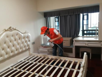 室内除甲醛怎样提高质量?