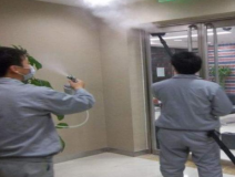 为什么老牌公司在室内除甲醛上有优势?