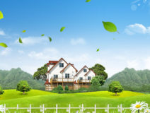 为大家介绍几个室内除甲醛可以使用的绿植