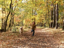 为什么秋季装修异味这么重?甲醛超标怎么办