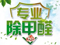除甲醛公司的专业性表现在哪些方面？