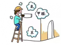 去甲醛具体有哪些方法呢？