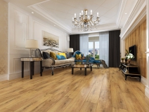 轻松搞定室内杀菌消毒之一:地板篇