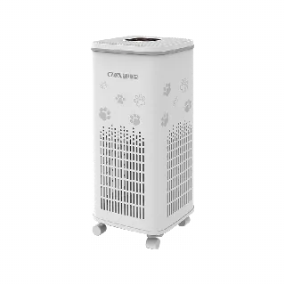 宠物空气净化器