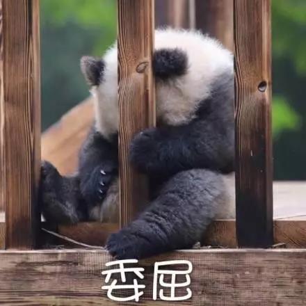 别大意!七大除甲醛“误区”,信了你反而会生病!通风、绿植、活性炭、熏蒸……你中招了吗?