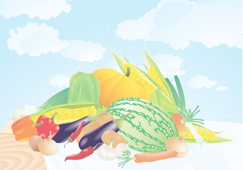 夏季找除甲醛公司有哪些需要注意的?
