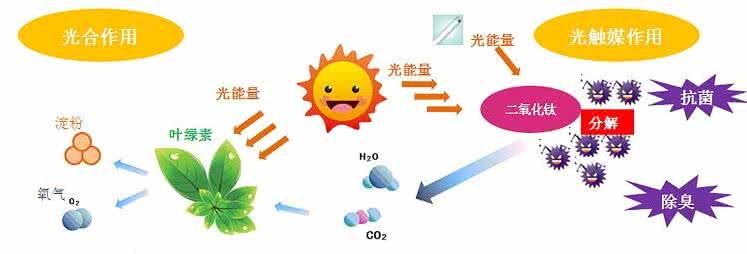 家中甲醛超标,什么才是甲醛治理的正确姿势?