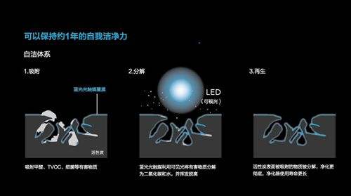 光触媒和生物酶哪个除甲醛比较好？