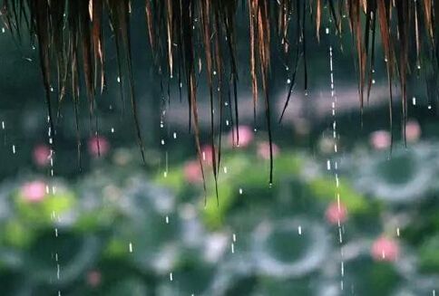 甲醛处理的最好季节——温暖潮湿的梅雨季节