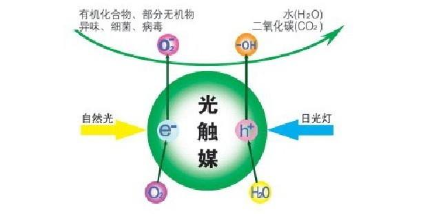 甲醛治理 甲醛治理